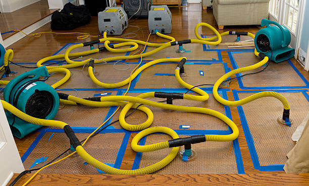 Professional Basement Flood Cleanup technician working in Bridgeville, PA
